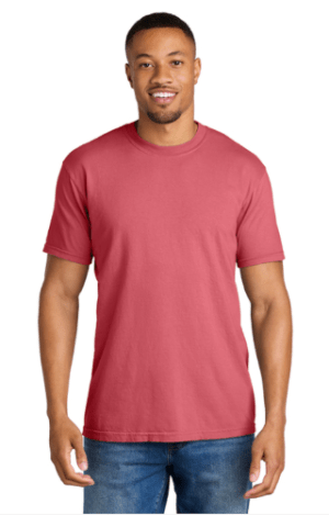 Men's/Unisex 100% Cotton T-Shirts